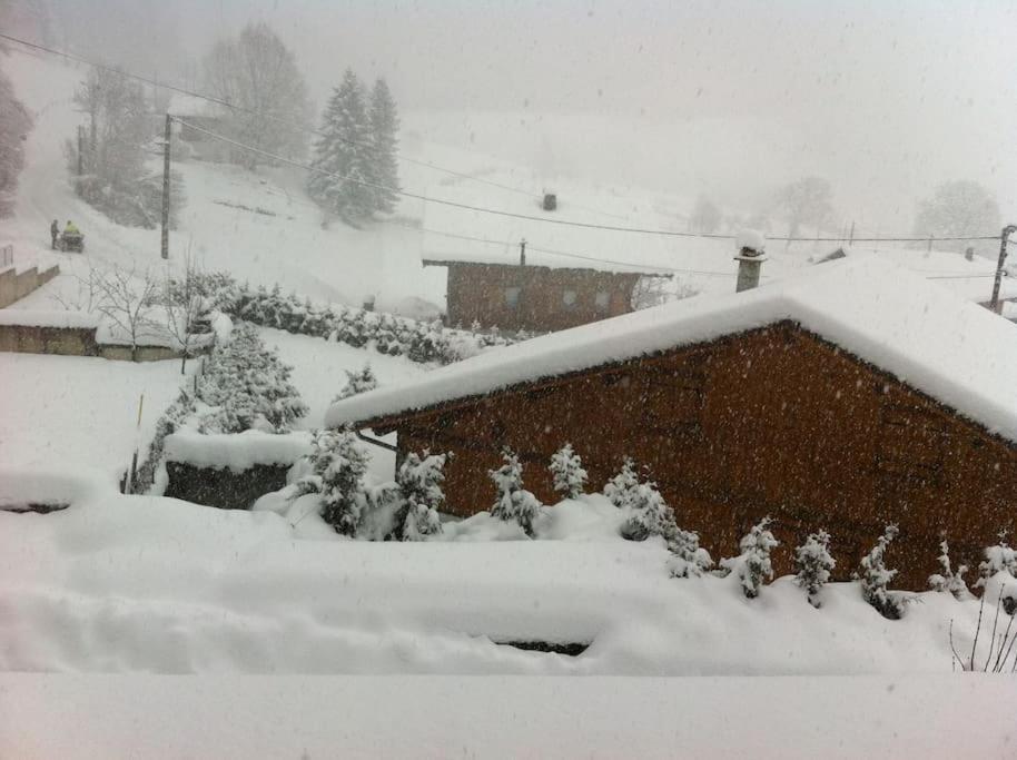 Dans Hameau, Pres Des Pistes Logement De Plein Pied Au Calme Taninges Exterior photo